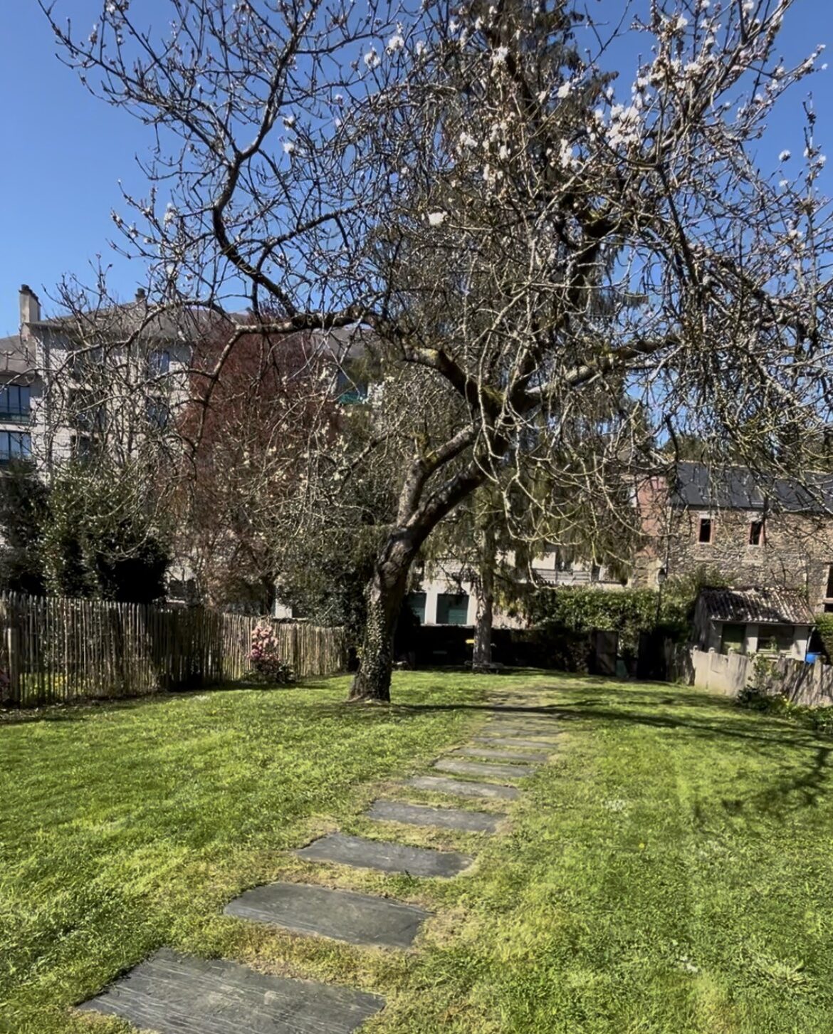 tonte pelouse by Prest&jardin Ewan Tricault jardin tonte pelouse