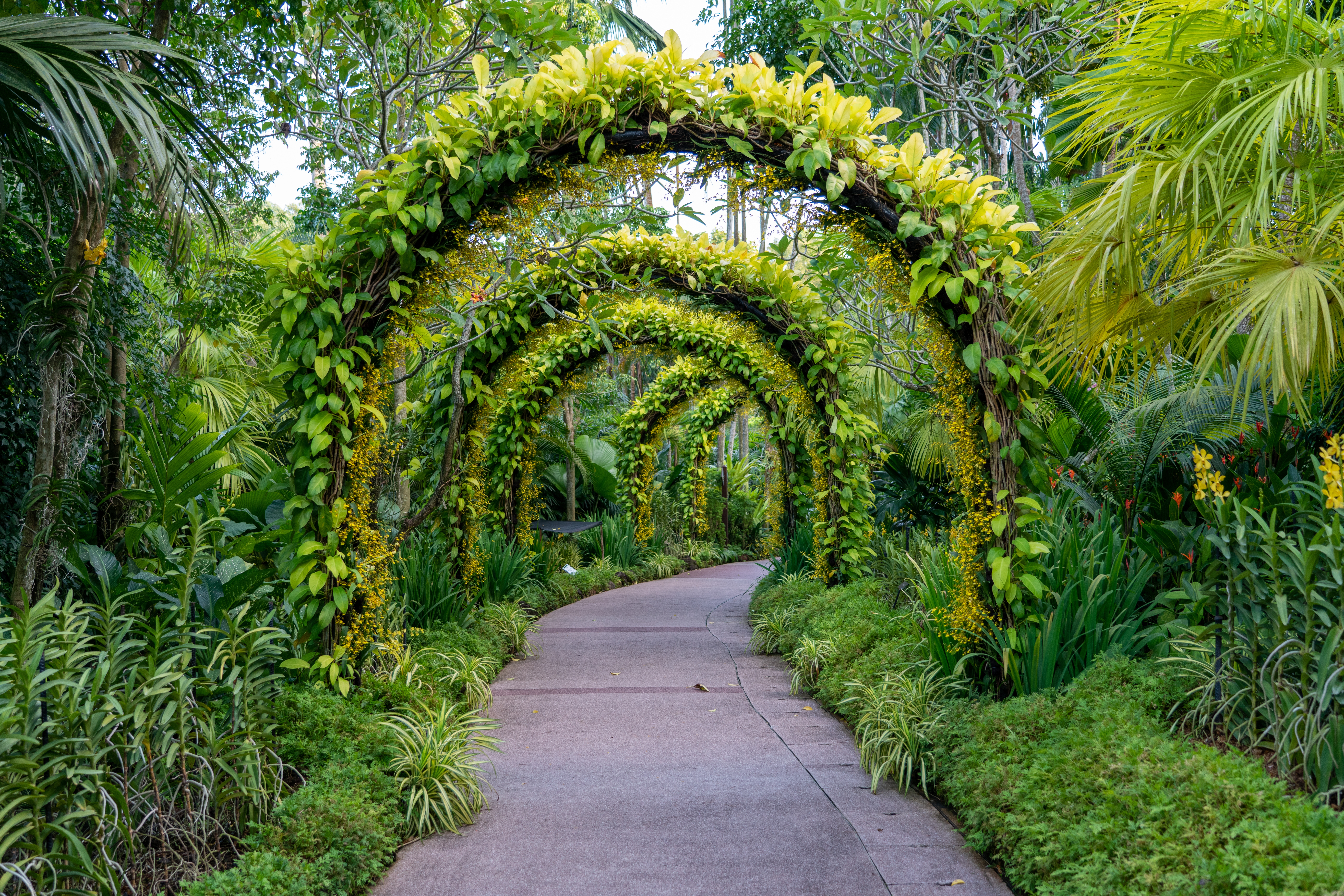 jardin allée
